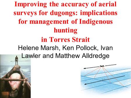 Improving the accuracy of aerial surveys for dugongs: implications for management of Indigenous hunting in Torres Strait Helene Marsh, Ken Pollock, Ivan.