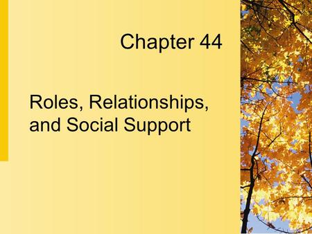 Roles, Relationships, and Social Support Chapter 44.