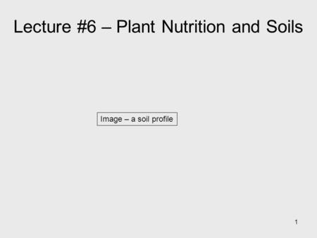 1 Image – a soil profile Lecture #6 – Plant Nutrition and Soils.