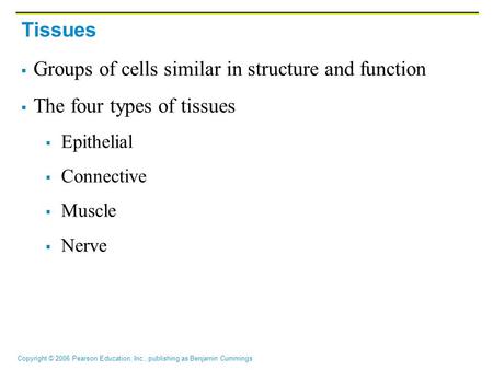 Copyright © 2006 Pearson Education, Inc., publishing as Benjamin Cummings Tissues  Groups of cells similar in structure and function  The four types.
