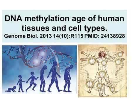 DNA methylation age of human tissues and cell types. Genome Biol. 2013 14(10):R115 PMID: 24138928.