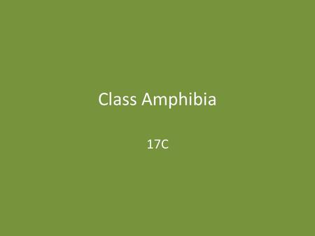 Class Amphibia 17C.