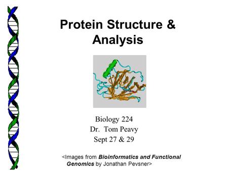 Biology 224 Dr. Tom Peavy Sept 27 & 29  Protein Structure & Analysis.
