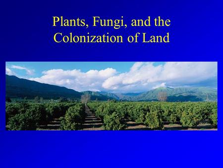 Plants, Fungi, and the Colonization of Land. Migration onto Land Continents subjected to flooding and receding of seas throughout geologic time. Natural.