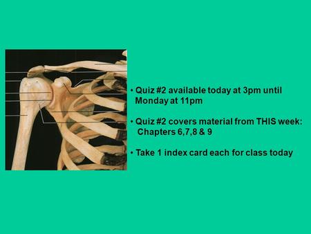 Quiz #2 available today at 3pm until Monday at 11pm Quiz #2 covers material from THIS week: Chapters 6,7,8 & 9 Take 1 index card each for class today.