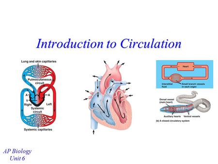 Introduction to Circulation