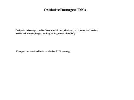 Oxidative Damage of DNA Oxidative damage results from aerobic metabolism, environmental toxins, activated macrophages, and signaling molecules (NO) Compartmentation.