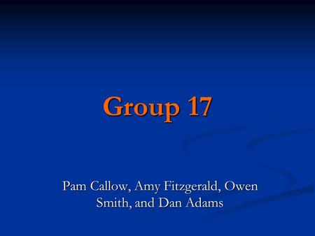 Group 17 Pam Callow, Amy Fitzgerald, Owen Smith, and Dan Adams.