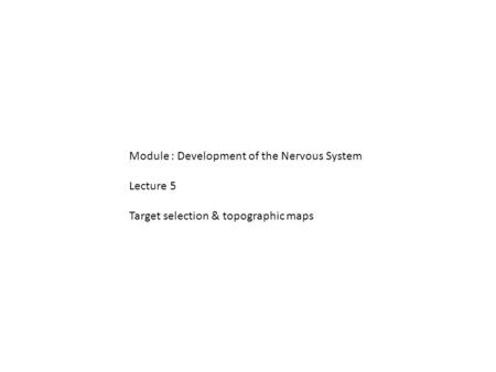 Module : Development of the Nervous System