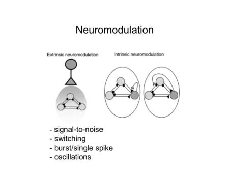 Neuromodulation - signal-to-noise - switching - burst/single spike - oscillations.