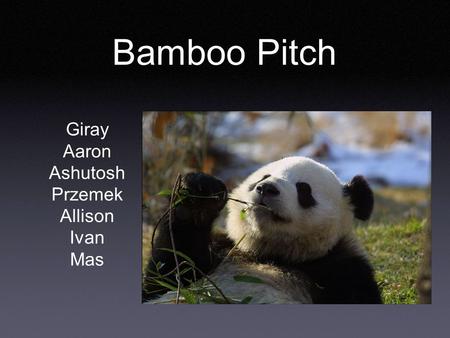 Bamboo Pitch Giray Aaron Ashutosh Przemek Allison Ivan Mas.