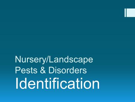 Nursery/Landscape Pests & Disorders Identification.
