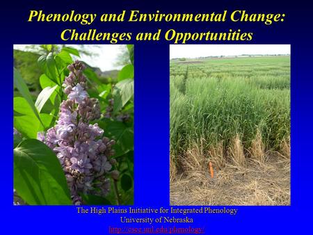 Phenology and Environmental Change: Challenges and Opportunities The High Plains Initiative for Integrated Phenology University of Nebraska