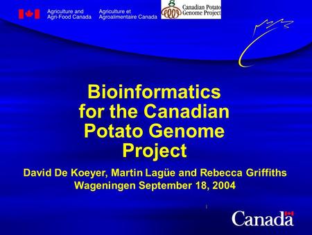 Bioinformatics for the Canadian Potato Genome Project David De Koeyer, Martin Lagüe and Rebecca Griffiths Wageningen September 18, 2004.