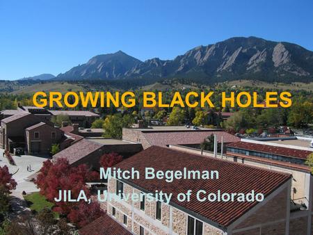 Mitch Begelman JILA, University of Colorado GROWING BLACK HOLES.