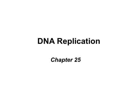 DNA Replication Chapter 25.