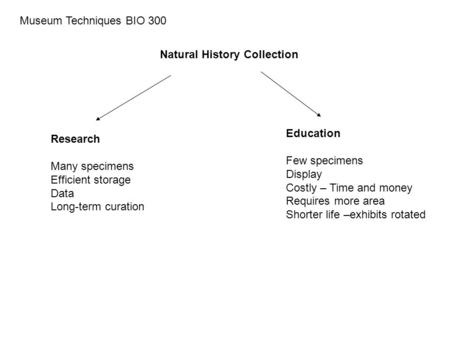 Museum Techniques BIO 300 Natural History Collection Research Many specimens Efficient storage Data Long-term curation Education Few specimens Display.