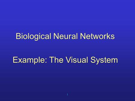 1 Biological Neural Networks Example: The Visual System.