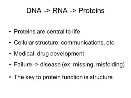 DNA -> RNA -> Proteins Proteins are central to life Cellular structure, communications, etc. Medical, drug development Failure -> disease (ex: missing,