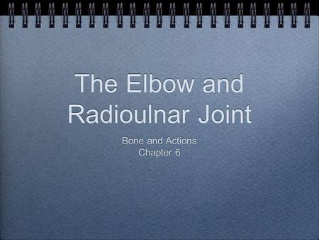 The Elbow and Radioulnar Joint Bone and Actions Chapter 6 Bone and Actions Chapter 6.