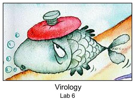 Virology Lab 6.