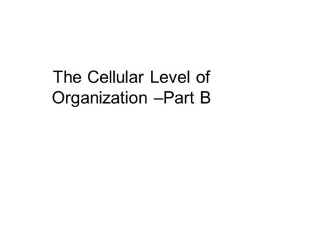 The Cellular Level of Organization –Part B. Cytoplasm Cytosol –Semifluid, mostly water –Protein, carbohydrates, lipids, and inorganic substances (ions)