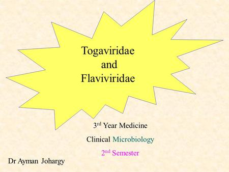 Dr Ayman Johargy Togaviridae and Flaviviridae 3 rd Year Medicine Clinical Microbiology 2 nd Semester.