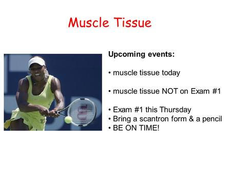 Muscle Tissue Upcoming events: muscle tissue today muscle tissue NOT on Exam #1 Exam #1 this Thursday Bring a scantron form & a pencil BE ON TIME!