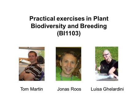 Practical exercises in Plant Biodiversity and Breeding (BI1103) Jonas RoosTom MartinLuisa Ghelardini.