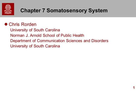 1 Chapter 7 Somatosensory System Chris Rorden University of South Carolina Norman J. Arnold School of Public Health Department of Communication Sciences.