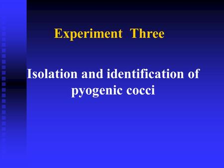 Isolation and identification of pyogenic cocci