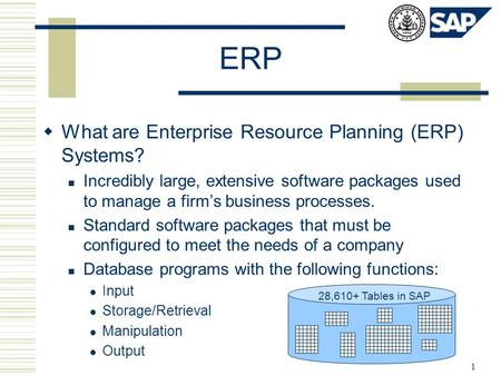 1 ERP  What are Enterprise Resource Planning (ERP) Systems? Incredibly large, extensive software packages used to manage a firm’s business processes.
