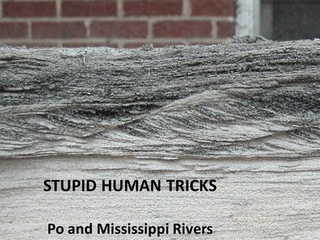 Writing Earth history with continental-margin sedimentary processes STUPID HUMAN TRICKS Po and Mississippi Rivers.