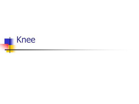 Knee. Knee Extensor Mechanism (KEM) Quadriceps Patellofemoral Joint Quadriceps Tendon/Ligament Patella Tendon.