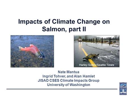 Impacts of Climate Change on Salmon, part II Nate Mantua Ingrid Tohver, and Alan Hamlet JISAO CSES Climate Impacts Group University of Washington Harley.