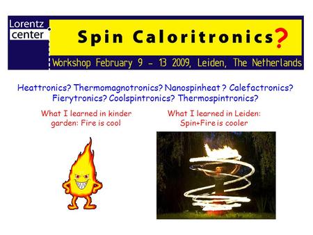 Heattronics? Thermomagnotronics? Nanospinheat ? Calefactronics? Fierytronics? Coolspintronics? Thermospintronics? ? What I learned in kinder garden: Fire.