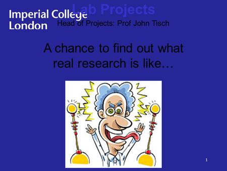 1 A chance to find out what real research is like… Lab Projects Head of Projects: Prof John Tisch.