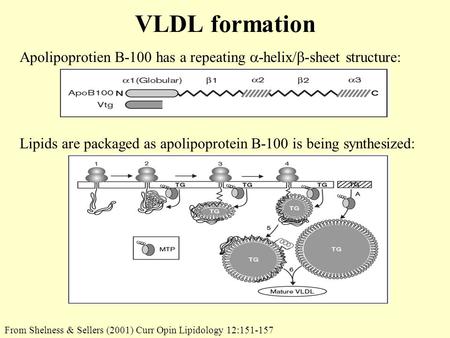 VLDL formation Apolipoprotien B-100 has a repeating  -helix/  -sheet structure: Lipids are packaged as apolipoprotein B-100 is being synthesized: From.