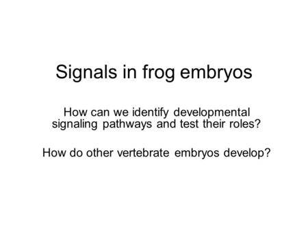Signals in frog embryos How can we identify developmental signaling pathways and test their roles? How do other vertebrate embryos develop?
