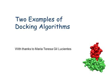 Two Examples of Docking Algorithms With thanks to Maria Teresa Gil Lucientes.