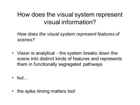 How does the visual system represent visual information? How does the visual system represent features of scenes? Vision is analytical - the system breaks.