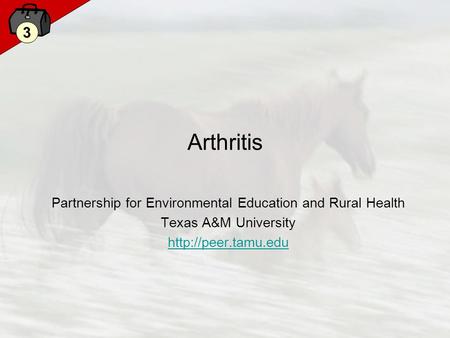 3 Arthritis Partnership for Environmental Education and Rural Health Texas A&M University