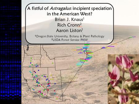 A fistful of Astragalus: incipient speciation in the American West? Brian J. Knaus 1 Rich Cronn 2 Aaron Liston 1 1 Oregon State University, Botany & Plant.