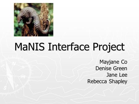 MaNIS Interface Project Mayjane Co Denise Green Jane Lee Rebecca Shapley.