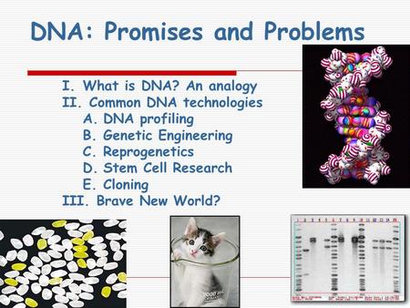 DNA: Promises and Problems I.What is DNA? An analogy II. Common DNA technologies A.DNA profiling B.Genetic Engineering C.Reprogenetics D.Stem Cell Research.