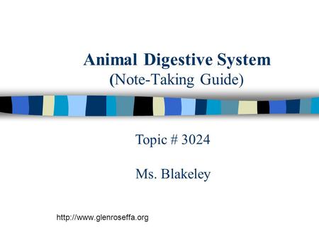 Animal Digestive System (Note-Taking Guide)  Topic # 3024 Ms. Blakeley.