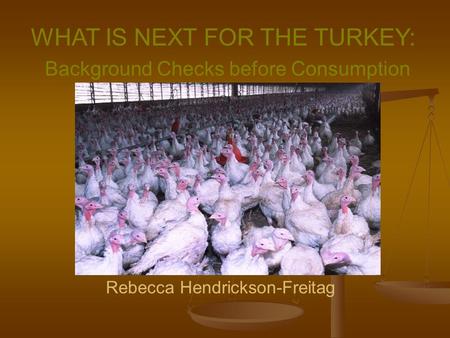 WHAT IS NEXT FOR THE TURKEY: Background Checks before Consumption Rebecca Hendrickson-Freitag.
