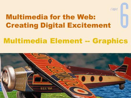 Multimedia for the Web: Creating Digital Excitement Multimedia Element -- Graphics.