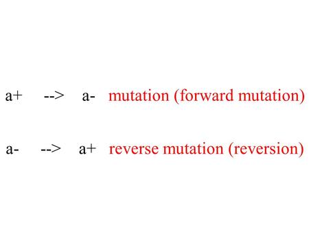 A+ --> a- mutation (forward mutation) a- --> a+ reverse mutation (reversion)