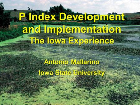 P Index Development and Implementation The Iowa Experience Antonio Mallarino Iowa State University.